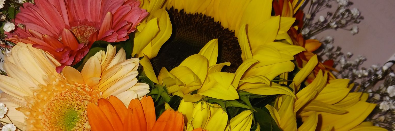 manneyamore's profile banner image