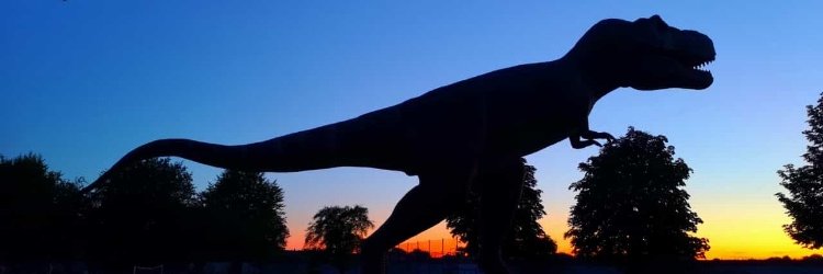 MyDinosaur2010's profile banner image