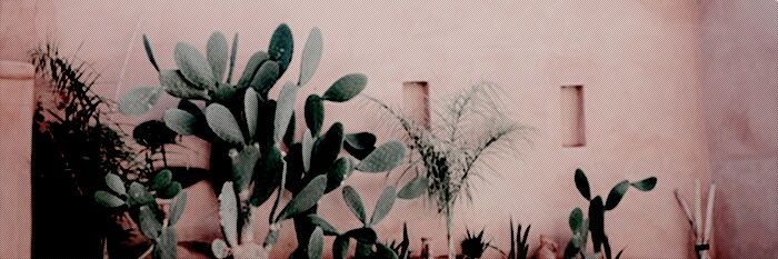 94boobear's profile banner image