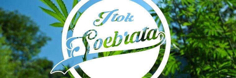 itoksoebrata's profile banner image