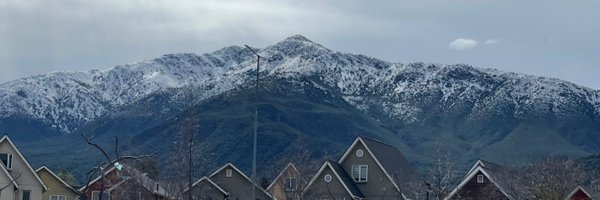 triniturro Profile Banner