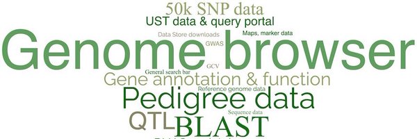 SoyBaseDatabase Profile Banner