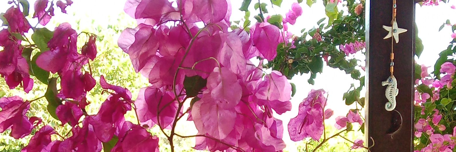 imtuci's profile banner image