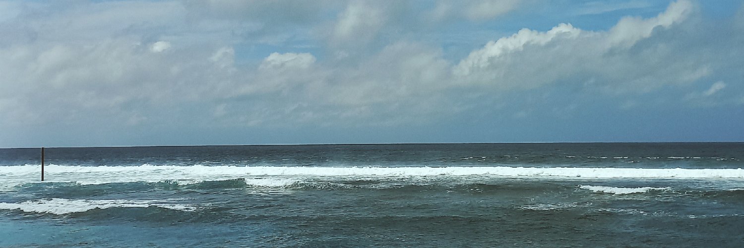 dandelionsfloww's profile banner image