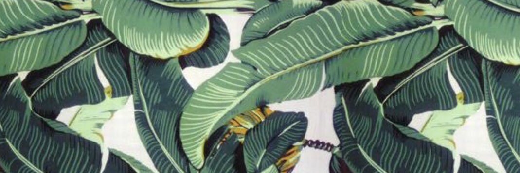 FrancescaBamsey's profile banner image