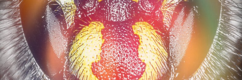 person_ality's profile banner image