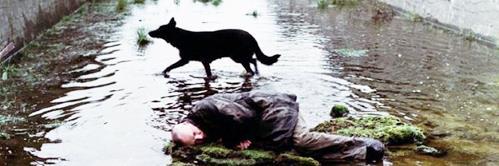 Emyr Glyn Williams banner