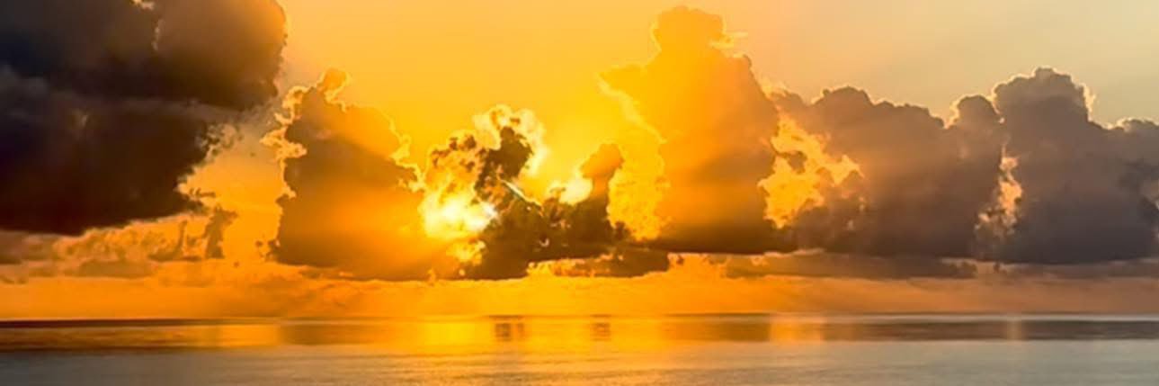 callmebeaar's profile banner image