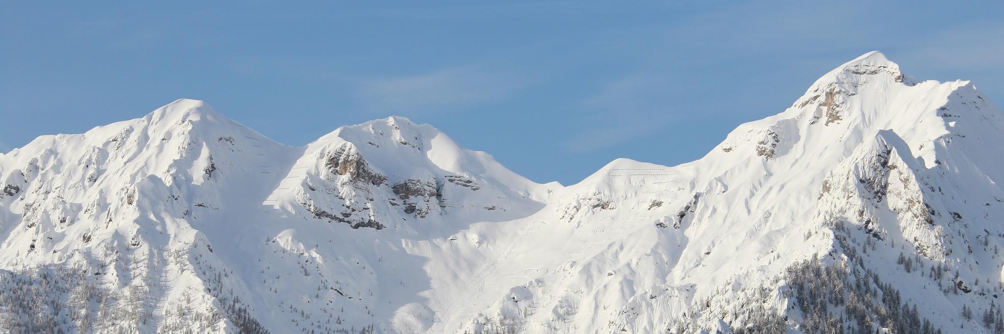 SJP Ski banner
