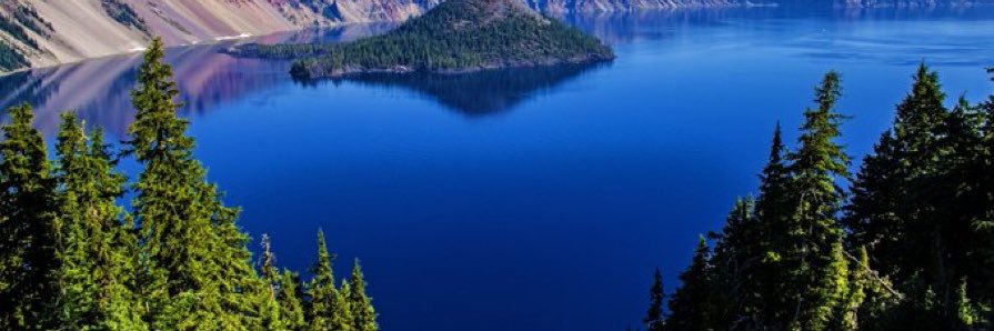 Barbara Kelly banner