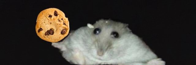 bluedangooo's profile banner image