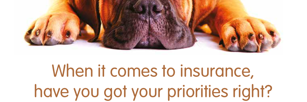 Vital_Insurance's profile banner image