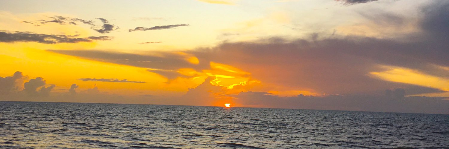 Luizalaiola's profile banner image