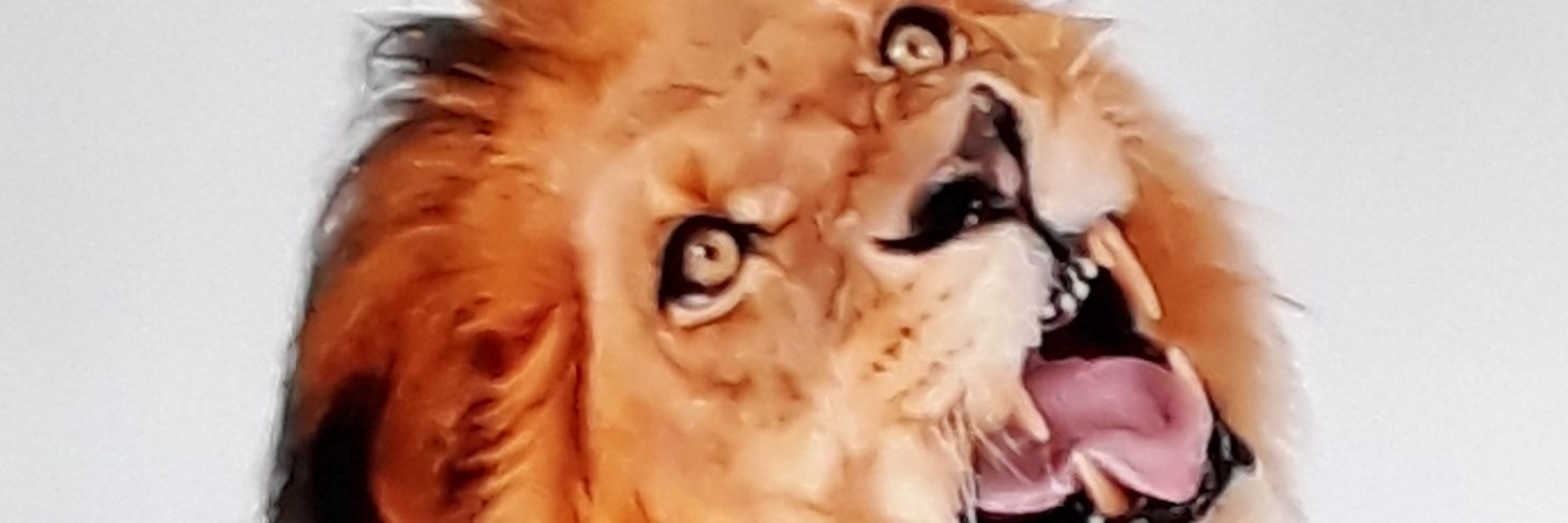 ValeBorre's profile banner image