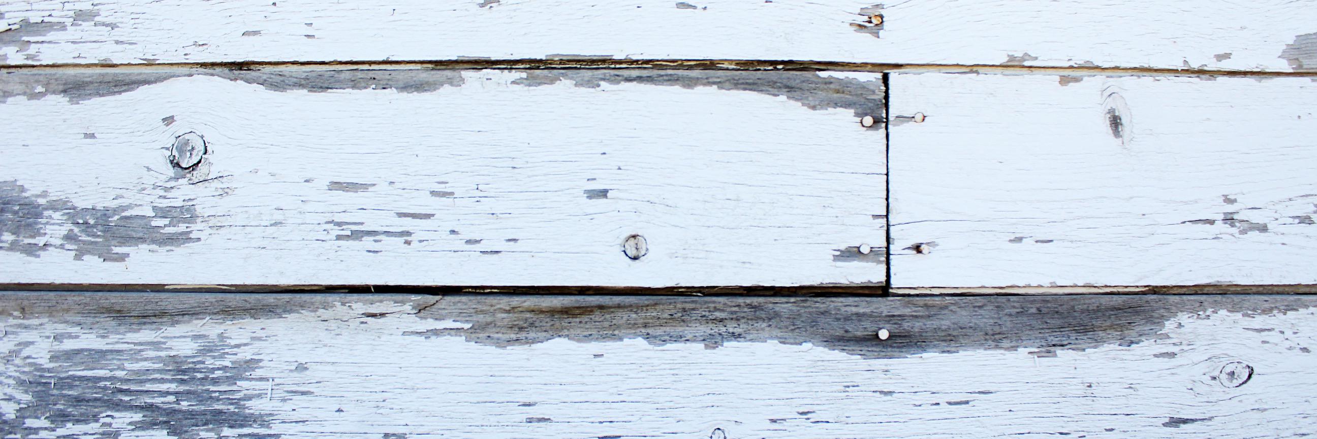 taytroutt's profile banner image
