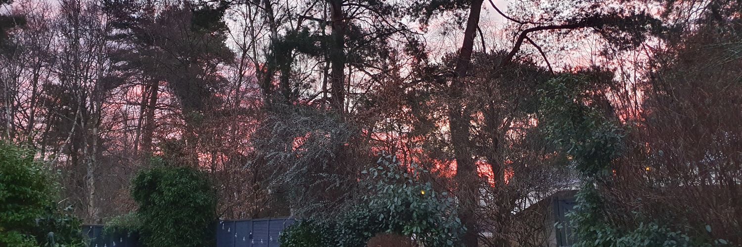 Natalie Dewhurst banner