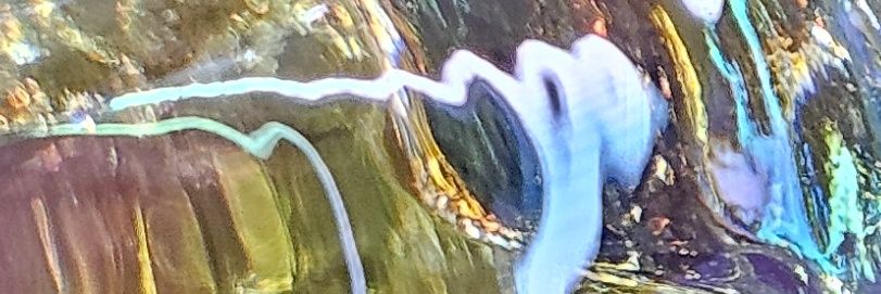 Babbipier's profile banner image