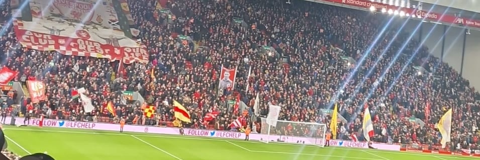 podgiedolan's profile banner image