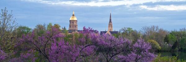 Stephanie Joyce banner