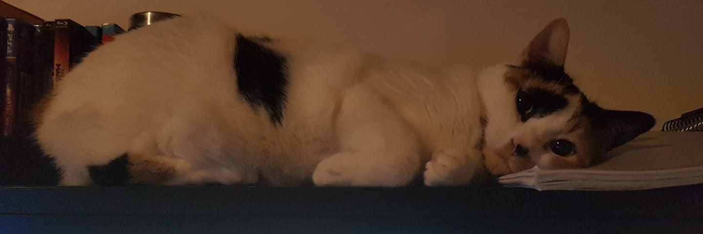 Daspocksta's profile banner image