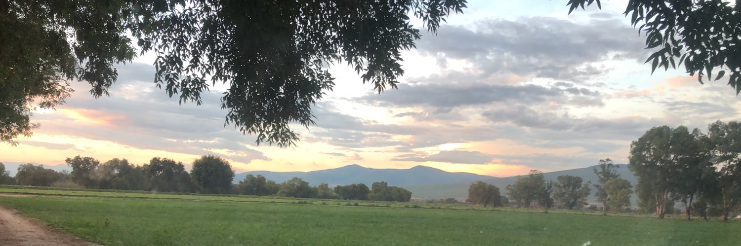 mauricioimj's profile banner image