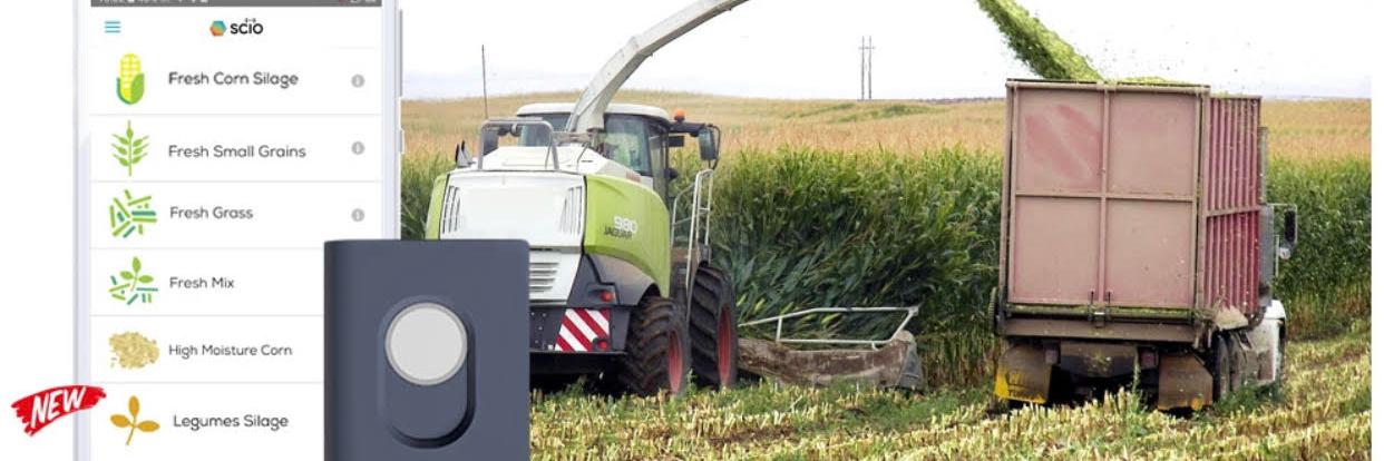 SCiO For Business banner