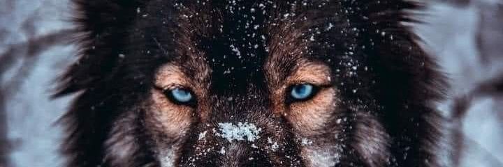 Murtaxa Khan 🇦🇫 banner