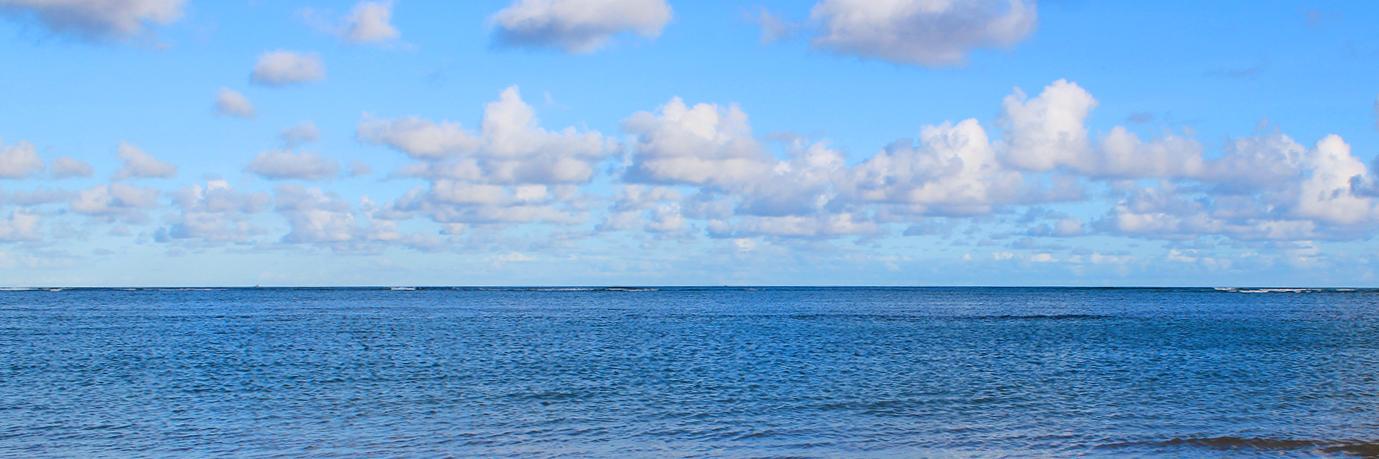 OriginalRoys's profile banner image