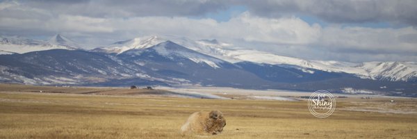 TORARADICAL Profile Banner