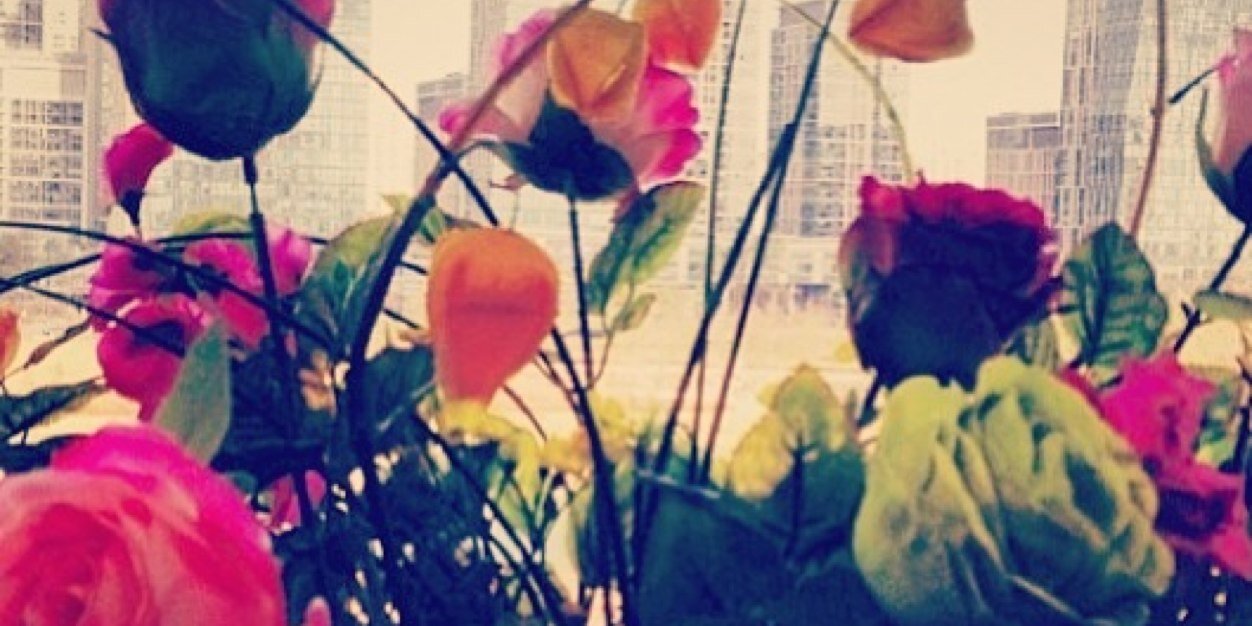 chrystle_anne's profile banner image