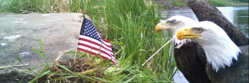 CuddebackTweets's profile banner image
