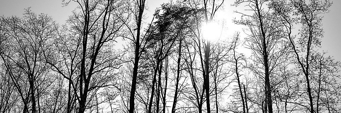 Cheroketa's profile banner image