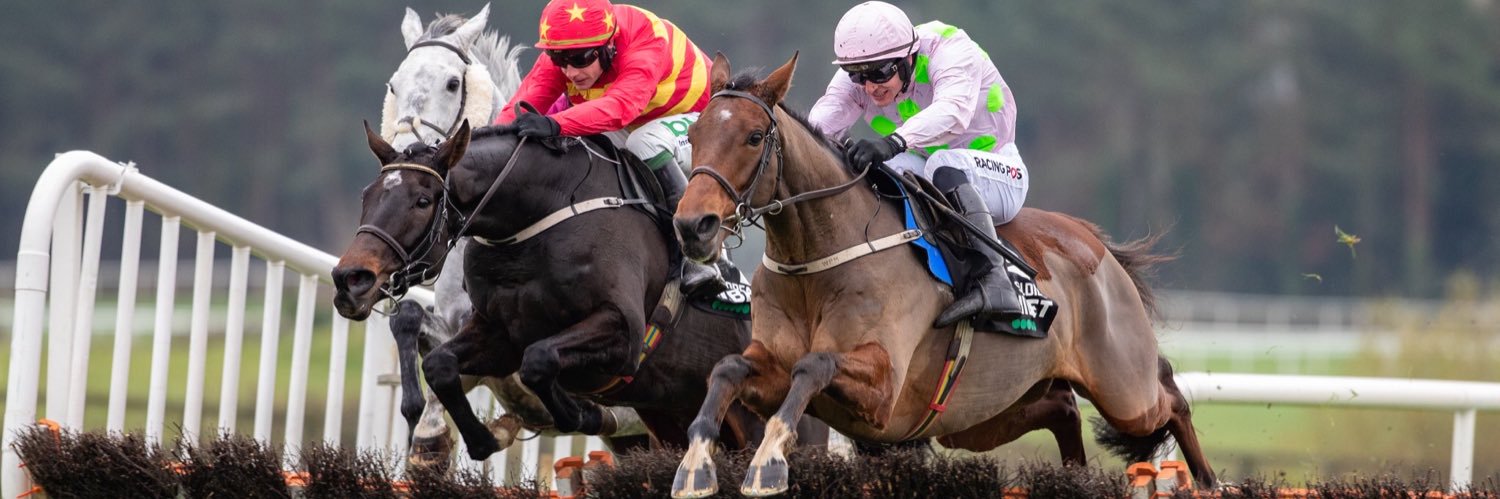 Danny Mullins banner