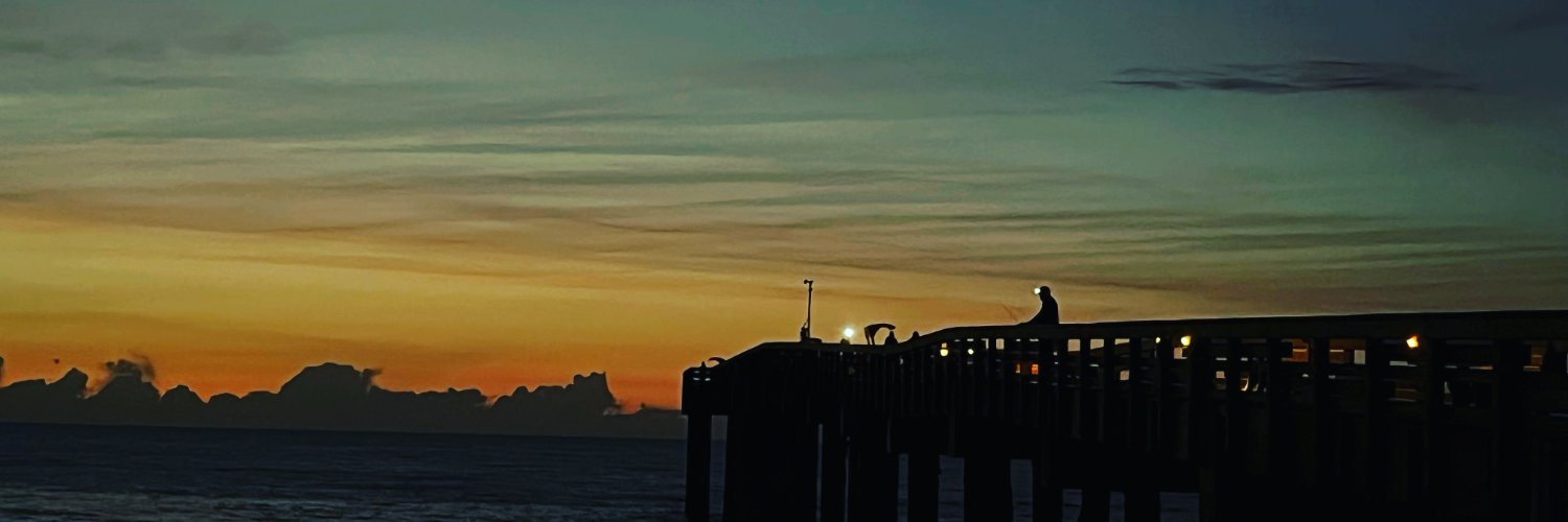 Magnetosphere banner