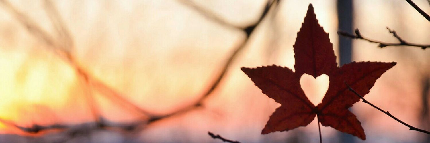 dipak_91's profile banner image