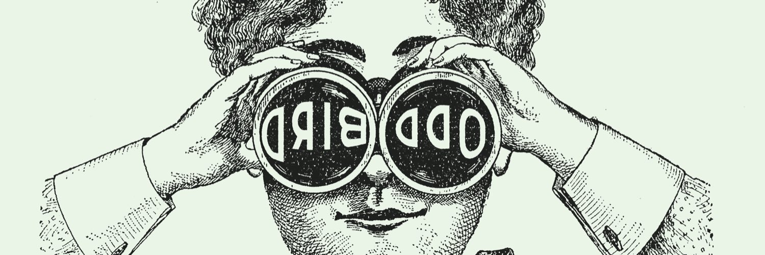 oddbirdATL's profile banner image