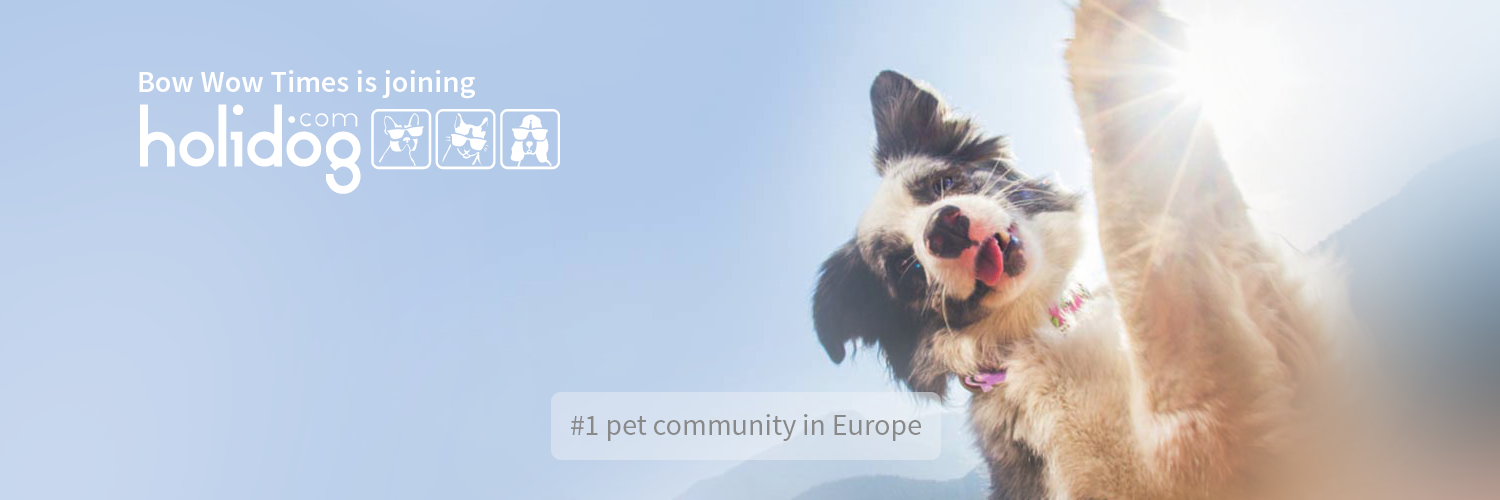 HolidogTimes's profile banner image