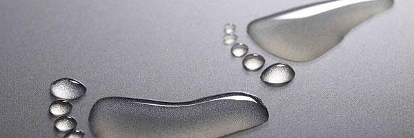 theleadingwalk's profile banner image