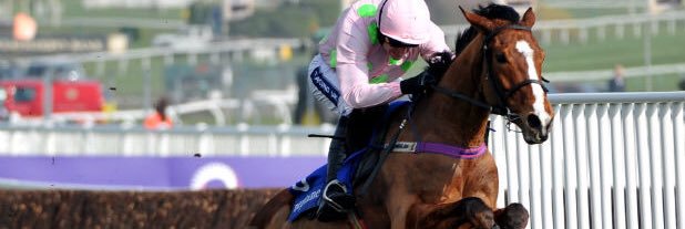 donkey dan goulding banner