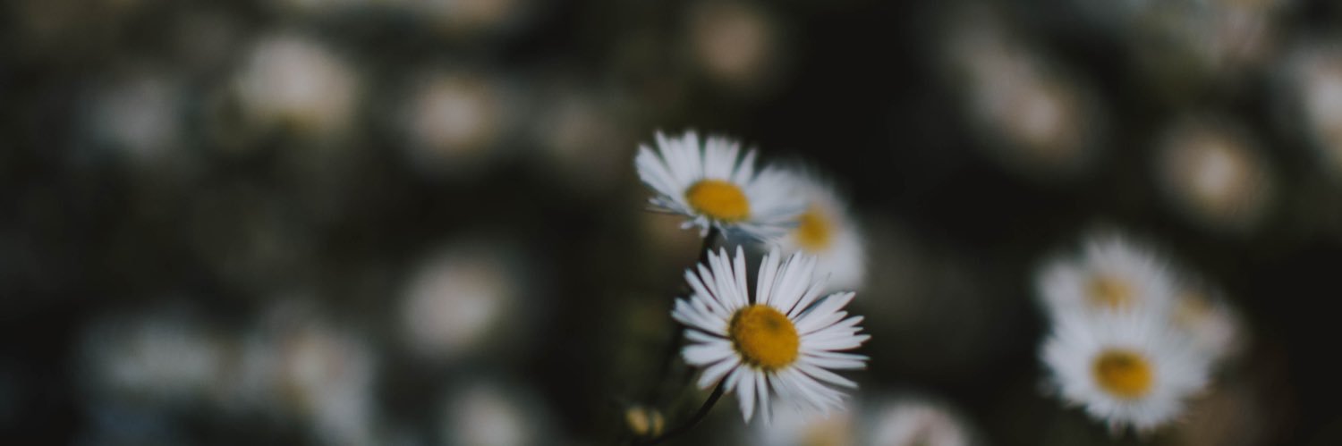 R3RRRaaa's profile banner image