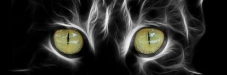 yodebroncasnada's profile banner image