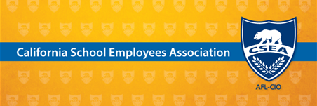 CSEA Chapter 133 banner