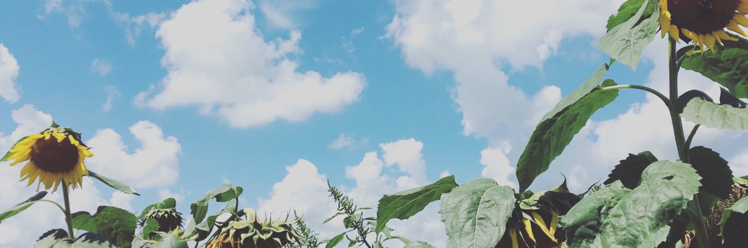 meganfitz96's profile banner image