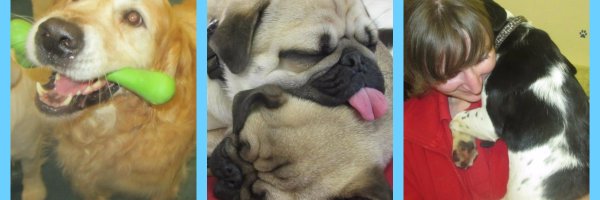 SuffolkCanine Profile Banner