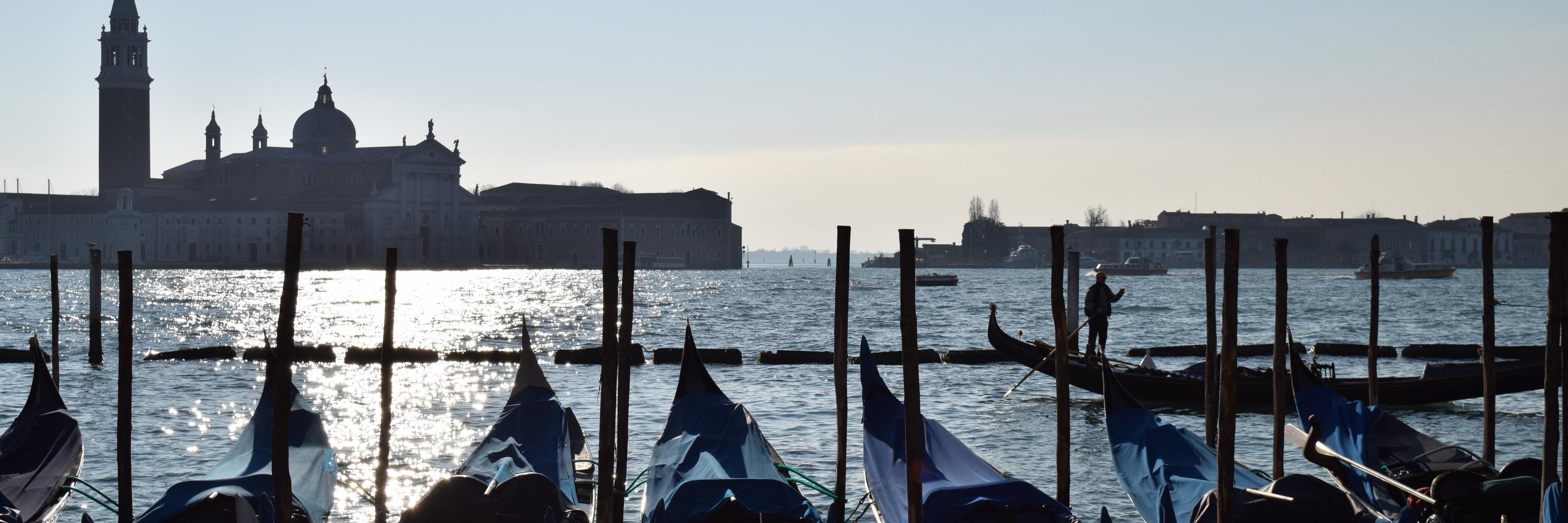 vanessaelliott banner