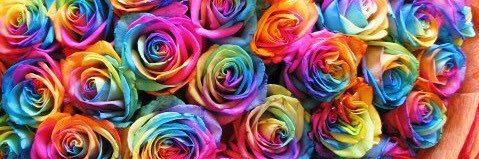 coco banner