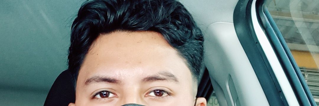 Harry Roque banner
