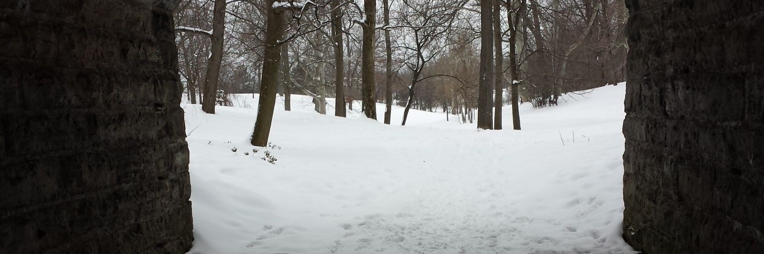 TargetTart's profile banner image
