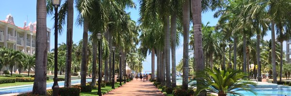 StephMoscattini Profile Banner