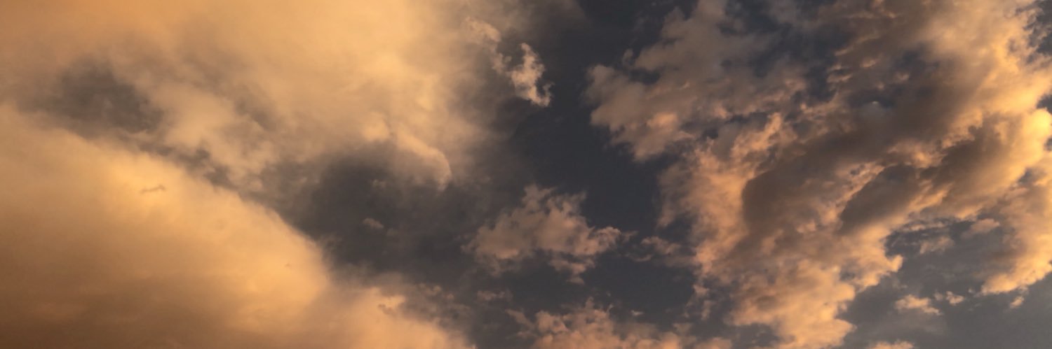 karlyybaird's profile banner image
